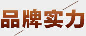 品牌实力